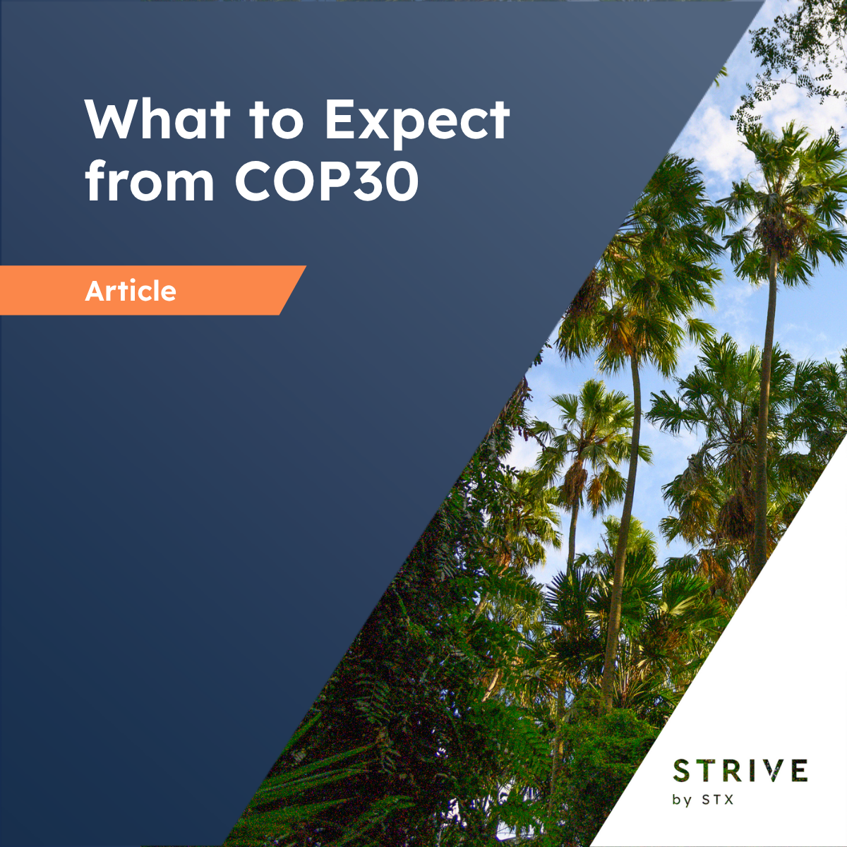 COP30 - article