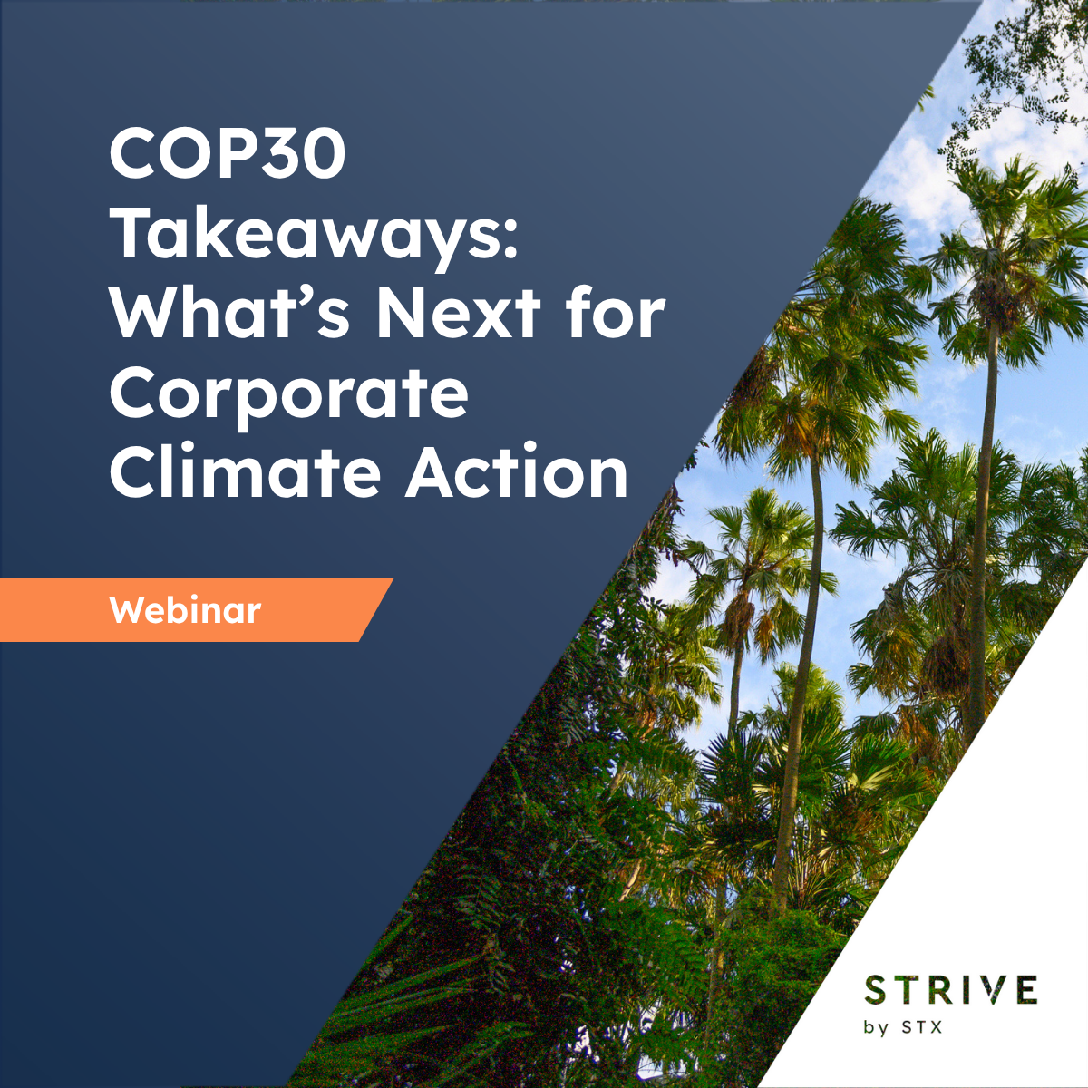 COP30 - webinar