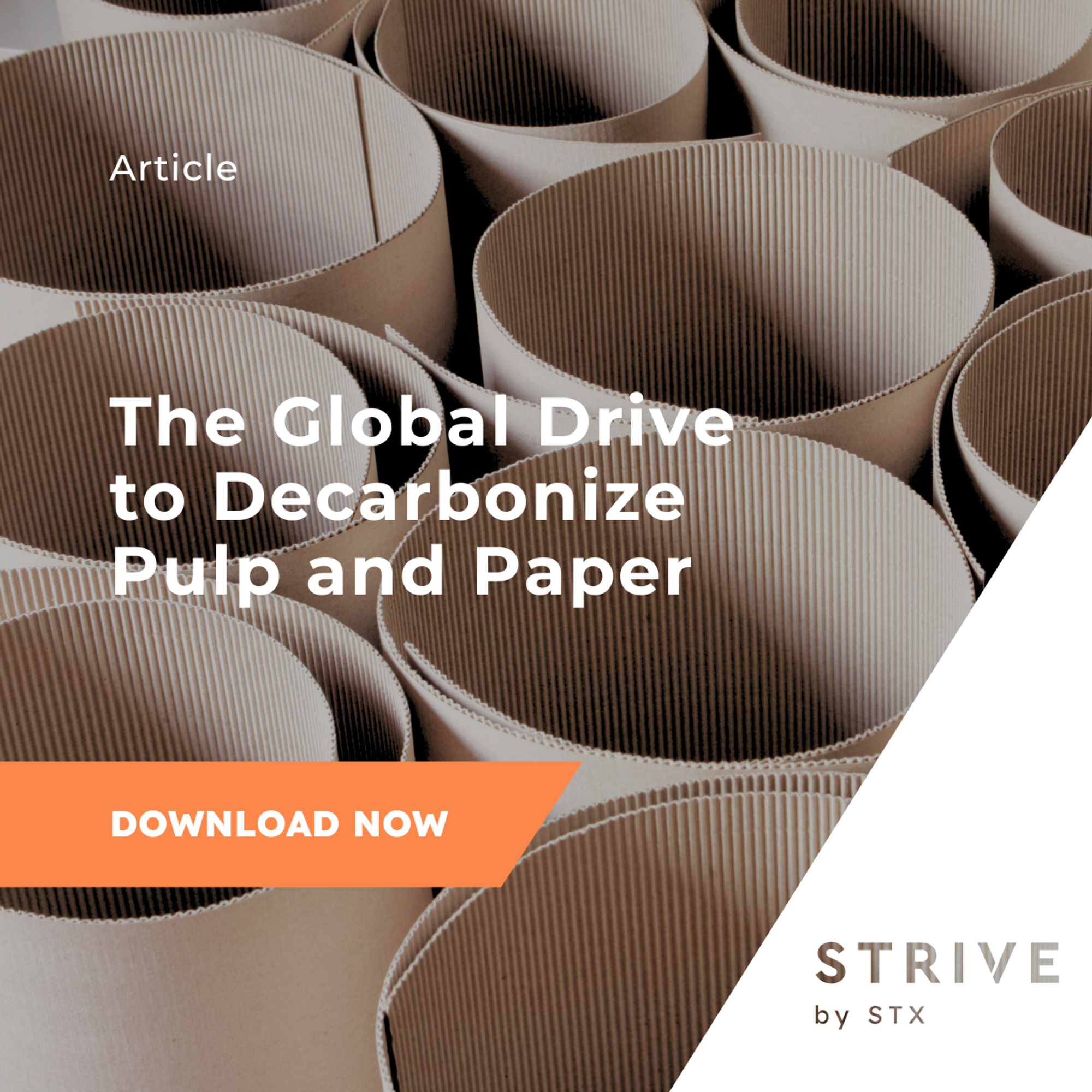 solutions to decarbonize the pulp and paper industry