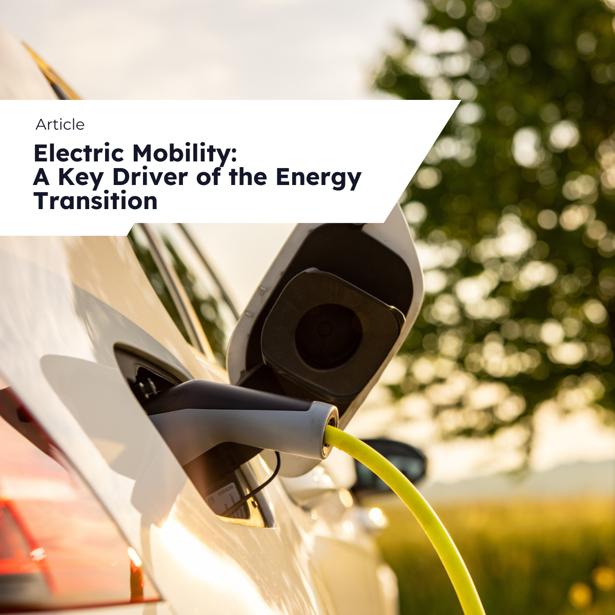 Publications cover - electric mobility