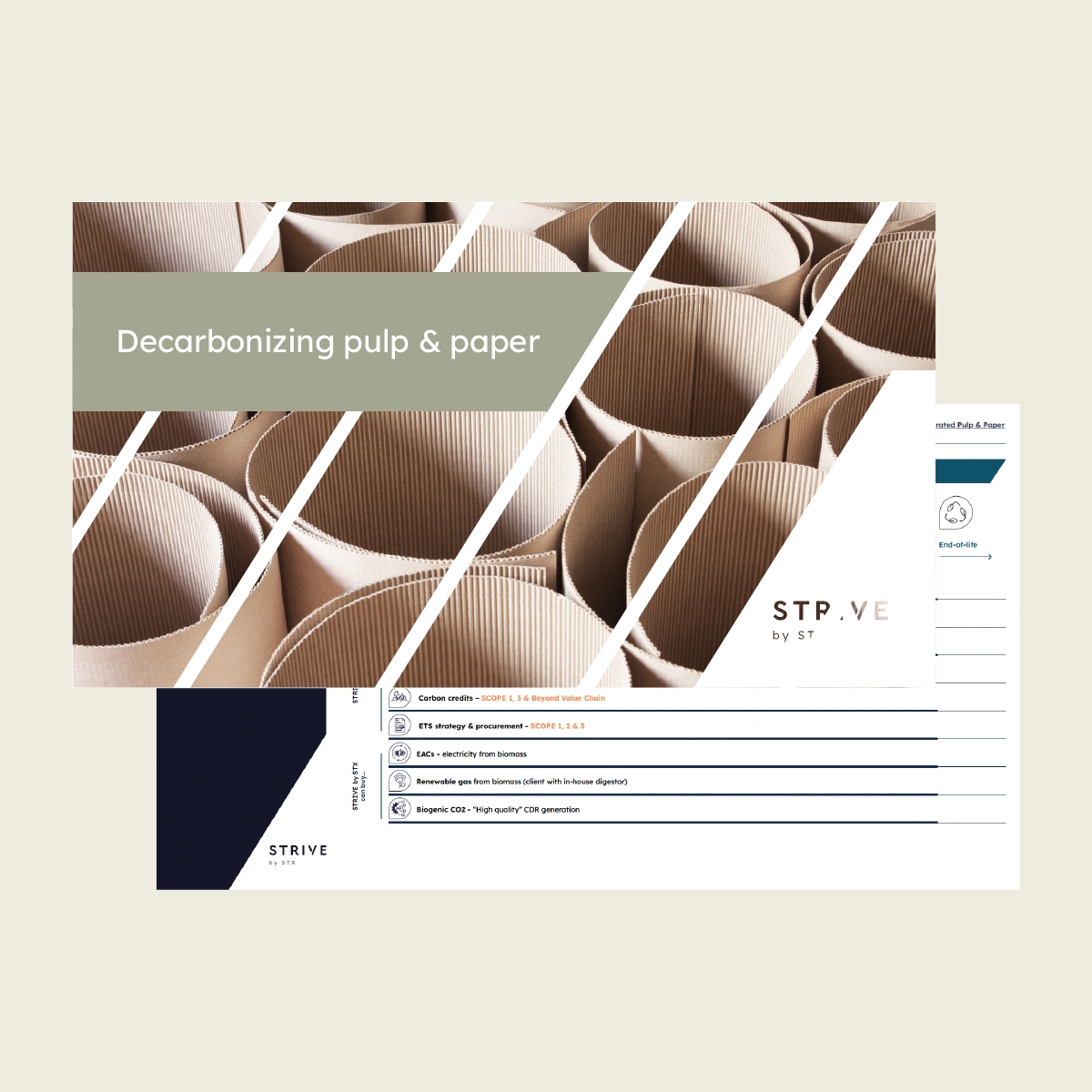 Pulp and paper solutions map