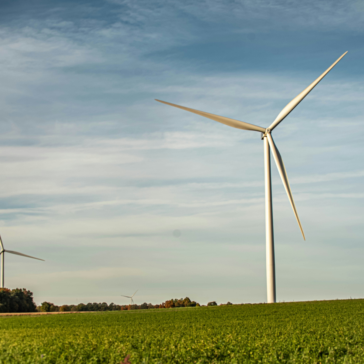 Untitled design (2)-1