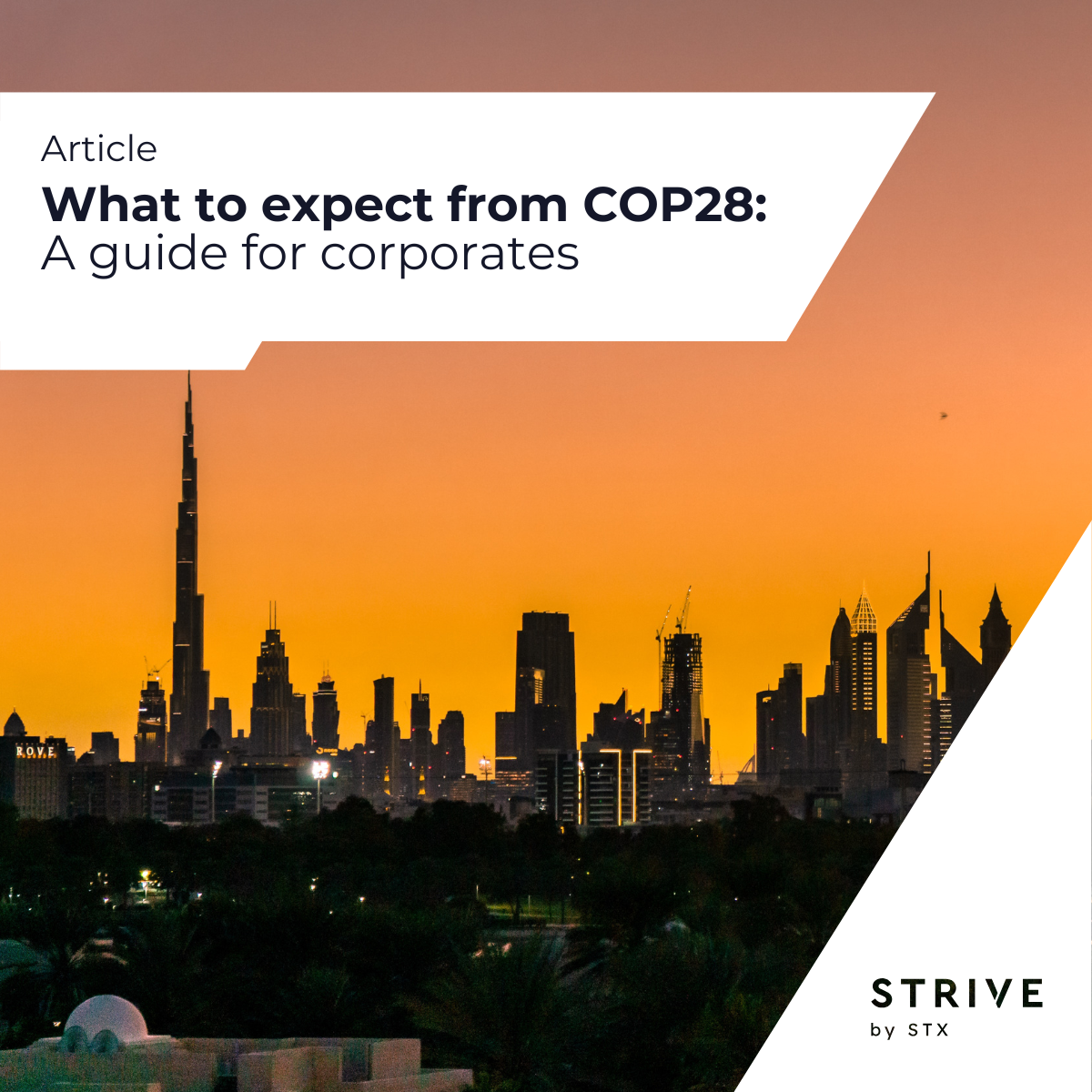 what to expect from COP28